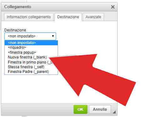 Apri in una Nuova Finestra